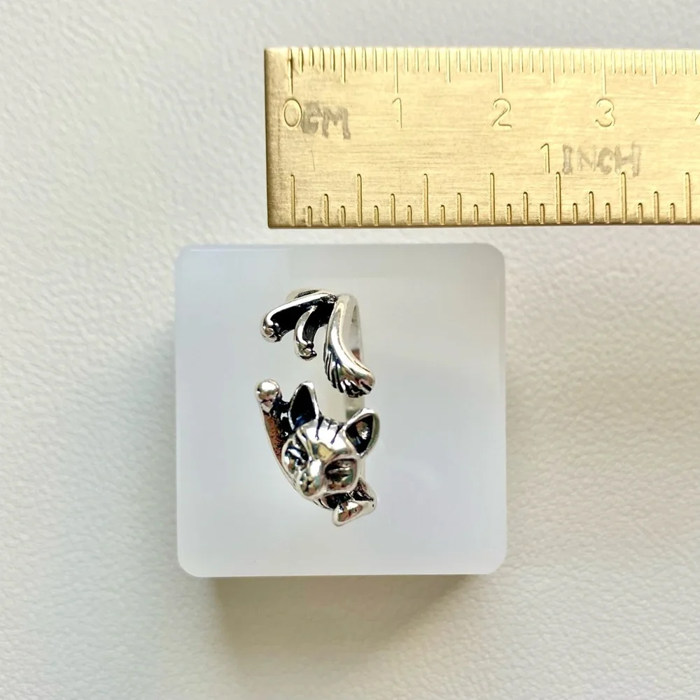 charming silver